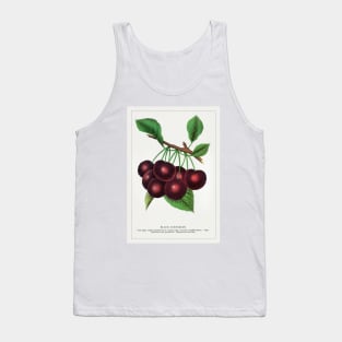 Black Tartarian Cherry Lithograph (1900) Tank Top